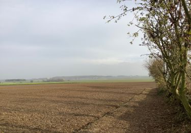 Tocht Stappen Graven - Nethen Meerdael  - Photo