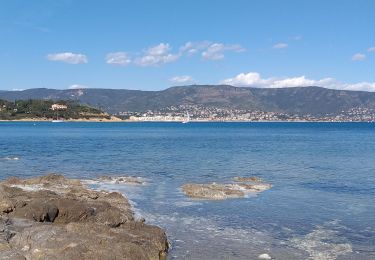 Randonnée Marche Bormes-les-Mimosas - bormes _cap benat - Photo