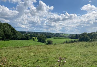 Trail Walking Herve - Josée  - Photo