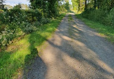 Trail Walking Touvois - M1T31052024 - Photo