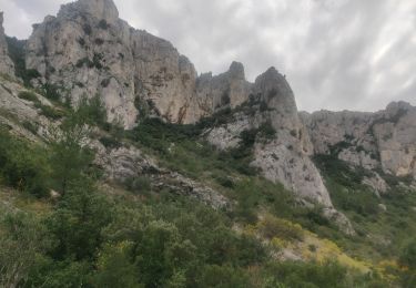 Tocht Stappen Gémenos - le petit Tuny réel  - Photo