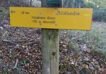 Trail Walking Bouvières - Mielandre - Photo