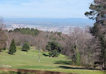 Trail Walking Royat - LE ROCHER DU SALUT - Photo