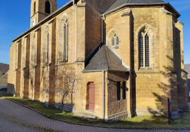 Percorso A piedi Unterwellenborn - Wutschentalweg - Photo