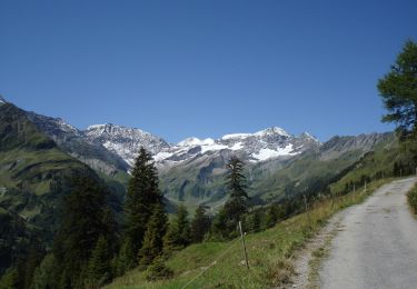 Trail On foot Pfäfers - Malanseralp - Brennboden - Photo
