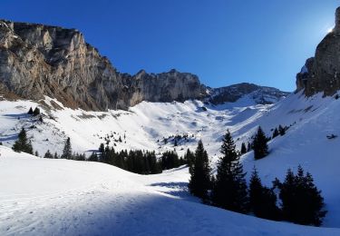 Randonnée Ski de randonnée Le Dévoluy - vallon froid bis - Photo