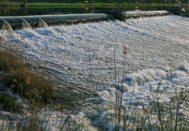 Randonnée A pied Eschwege - Rundweg Werratalsee - Photo