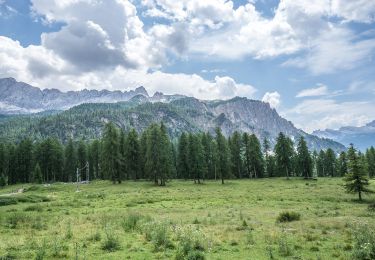 Randonnée A pied Cortina d'Ampezzo - Sentiero C.A.I. 211 - Photo