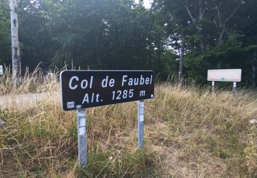 Trail Walking Saint-Sauveur-Camprieu - col de Faubel - Photo