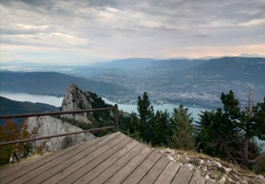 Tocht Stappen Le Bourget-du-Lac - dent du chat par mollard noir départ parking des côtes  - Photo