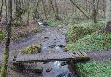 Tocht Stappen Houyet - Gendron Hulsonniaux  - Photo