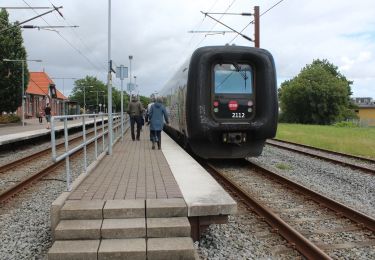 Tour Zu Fuß  - Æblestien - Photo