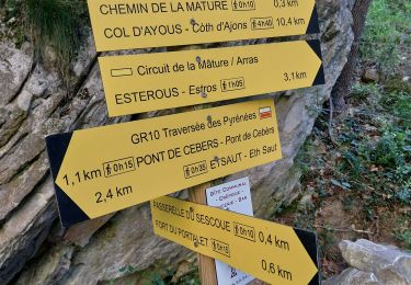 Tour Wandern Borce - chemin de la mature - Photo