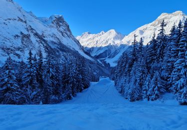 Tour Schneeschuhwandern Pralognan-la-Vanoise - Fontanettes en boucle  - Photo