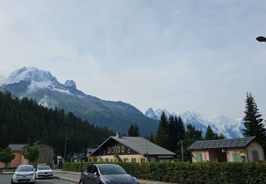 Trail Walking Chamonix-Mont-Blanc - J11 - R9 - Montroc - Le Tour - Petit Balcon Nord  - Photo