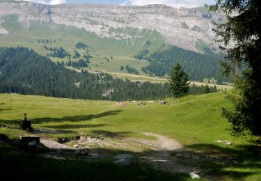 Randonnée A pied Flims - Cassons - Segnes - Runca - Photo