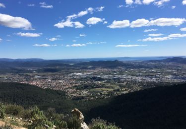 Randonnée Marche La Valette-du-Var - Le Coudon au départ de Baudouvin  - Photo