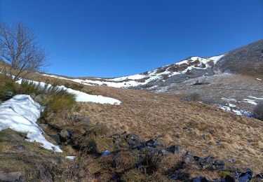 Randonnée Marche nordique Murat-le-Quaire - Puy gros - Photo