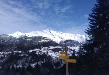 Trail Touring skiing Montsapey - pas de Freydon - Photo
