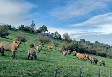 Trail Walking Ponsas - Les roches qui danse - Photo