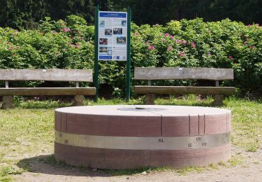 Percorso A piedi Gelnhausen - Kulturweg Gelnhausen 2 - Photo