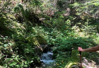 Tour Wandern Aime-la-Plagne - Le chemin du Grand Bief à Granier (Savoie) - Photo