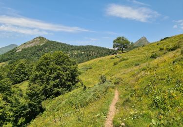 Trail Walking Saint-Jacques-des-Blats - Grange Dévézou col du Pertus par col du Gliziou - Photo