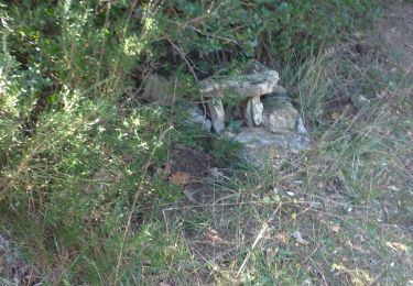 Trail Walking Garéoult - l'amarron et son dolmen au départ de Garréoult la Gabelle - Photo