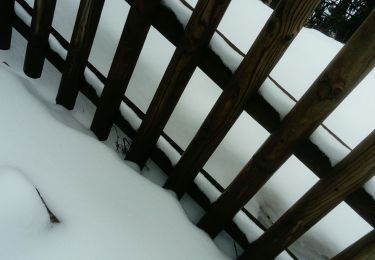Tocht Sneeuwschoenen Bellefontaine - Bellefontaine-Chalet Gaillard - Photo