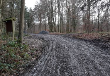 Trail Walking Namur - Mont Etoile plateau Longsart home - Photo