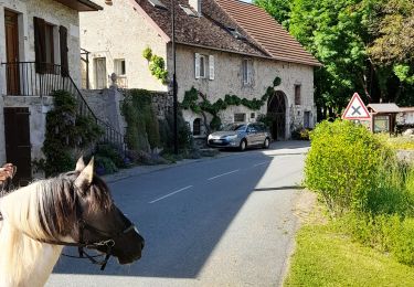 Randonnée Randonnée équestre Vongnes - lavour aprem - Photo