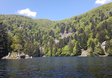 Randonnée Marche Mittlach - Lac d'Altenweiher - Photo