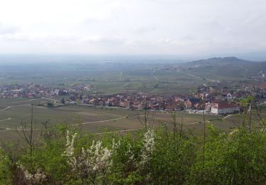 Tour Laufen Orschweiler - psmflnegl - Photo