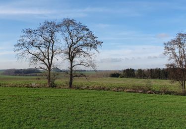 Tocht Stappen Lasne - Plancanoit - Aywiers - Photo