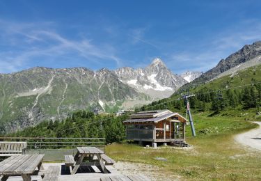 Percorso Marcia Chamonix-Mont-Blanc - col de lognan-chamonix - Photo