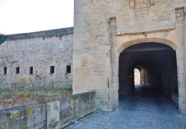 Tour Zu Fuß Asperg - DE-SAV Rotes Kreuz, von - nach ? - Photo