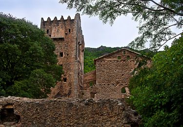 Tour Zu Fuß Alzira - SL-CV 81 Senda Botànica - Photo