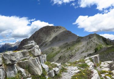 Tocht Stappen Seyne - Sommet de Nellière - Photo