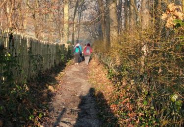 Excursión Senderismo Lasne - #221010 - Ohain, Ransbeck et Manahattant (full GR)**** - Photo