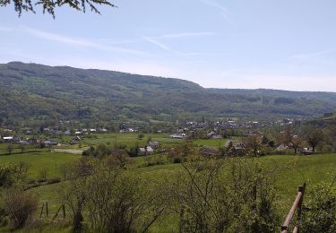 Trail Walking Saint-Chély-d'Aubrac - Compostelle St chely St come d'olt - Photo