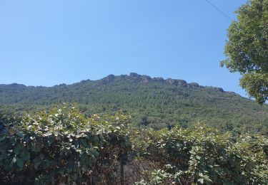 Trail Walking Saint-Raphaël - Rastel d'agay traversée N-S - Photo