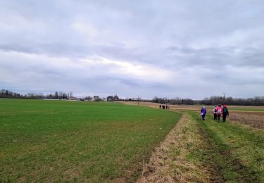 Trail Walking Dhuys et Morin-en-Brie - Fontenelle en Brie du 25-01-2024 - Photo