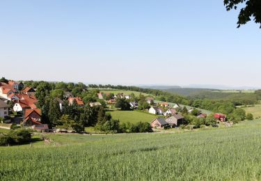 Excursión A pie Bad Pyrmont - Lügder Rundweg - Photo