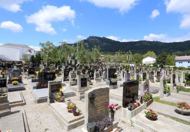 Tour Zu Fuß Gemeinde Grünbach am Schneeberg - Café-Habeler-Runde - Photo