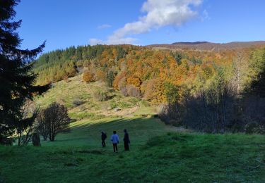 Trail Walking Soultz-Haut-Rhin - Glasshütte Firstacker - Photo