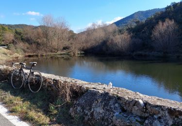 Percorso Bici da strada Draguignan - 20220125 vélo route - Photo
