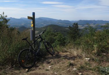 Trail Mountain bike Saou - foret de saou vtt - Photo
