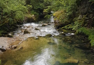 Tocht Stappen Chézery-Forens - Chezery le pont du diable - Photo