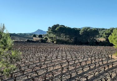 Excursión Senderismo Espira-de-l'Agly - espira m'as magi - Photo