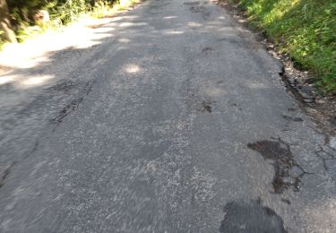 Randonnée Marche Romans-sur-Isère - vélo électrique Villard 15.08.24 - Photo